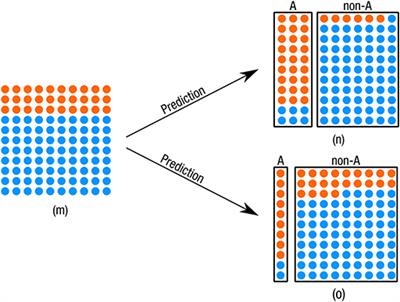 Algorithmic Profiling of Job Seekers in Austria: How Austerity Politics Are Made Effective